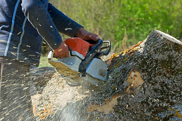 Tree Service Company in Marengo, IL